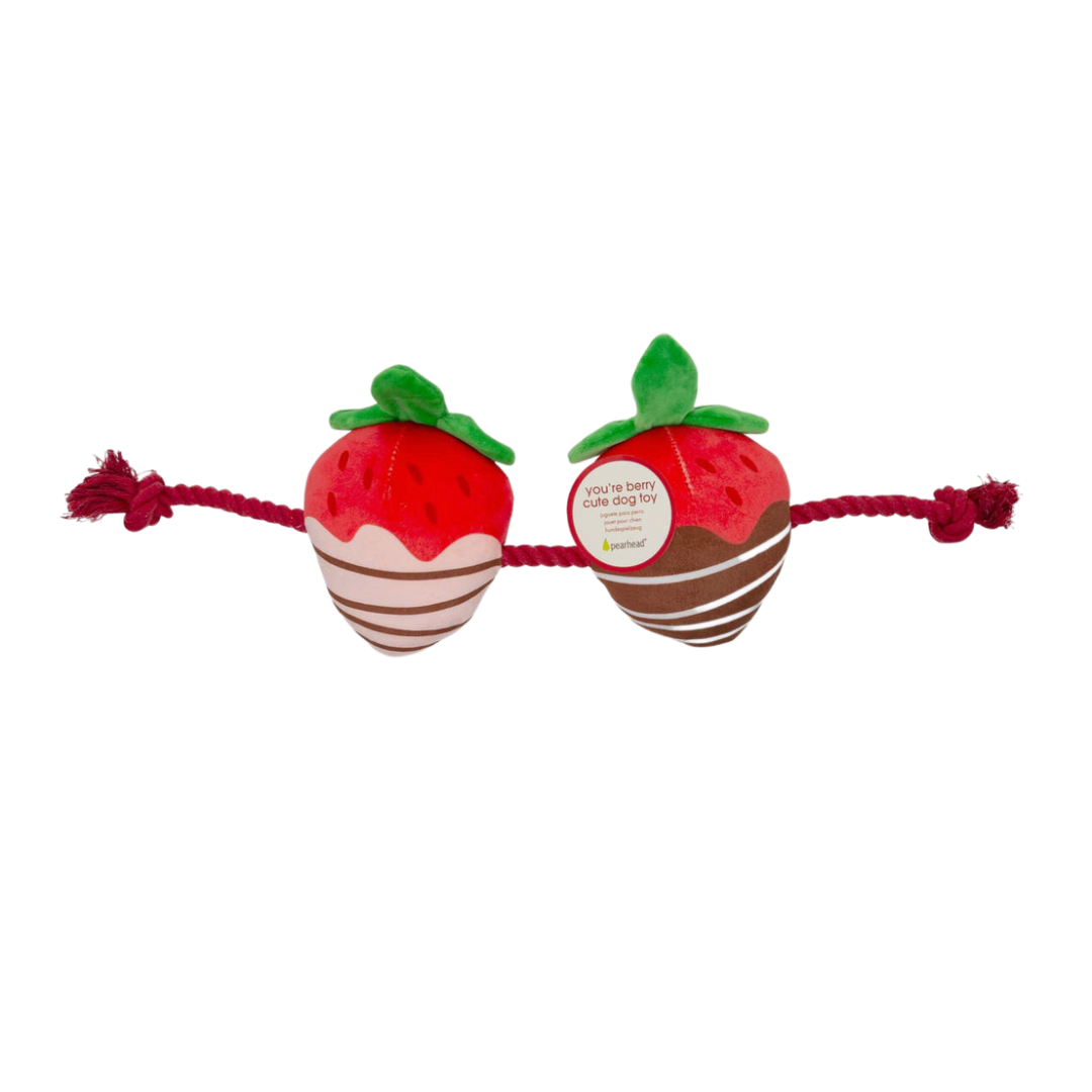 You're Berry Cute Dog Rope Toy Strawberry Chocolate