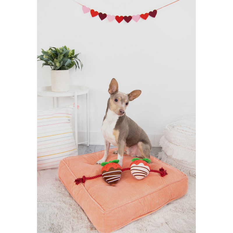 You're Berry Cute Dog Rope Toy Strawberry Chocolate