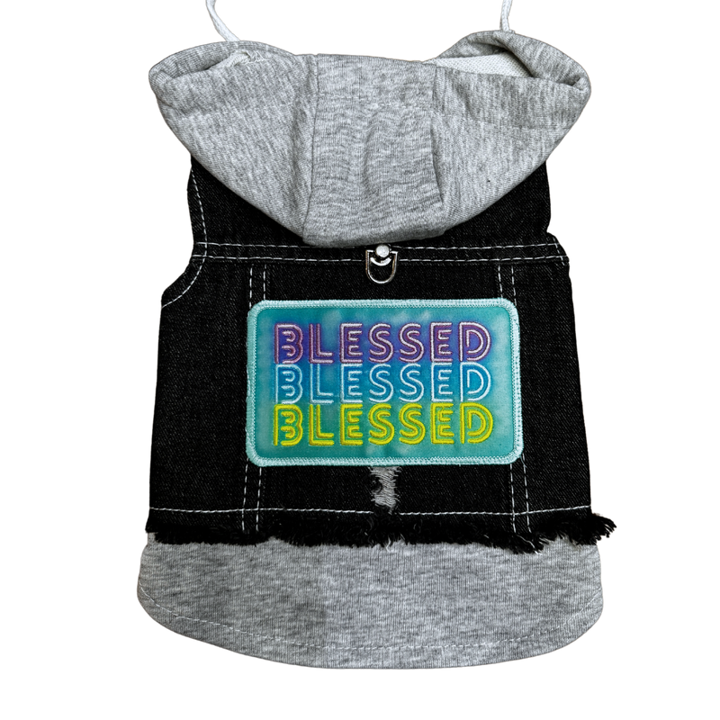 BLESSED Battle Vest for small dogs