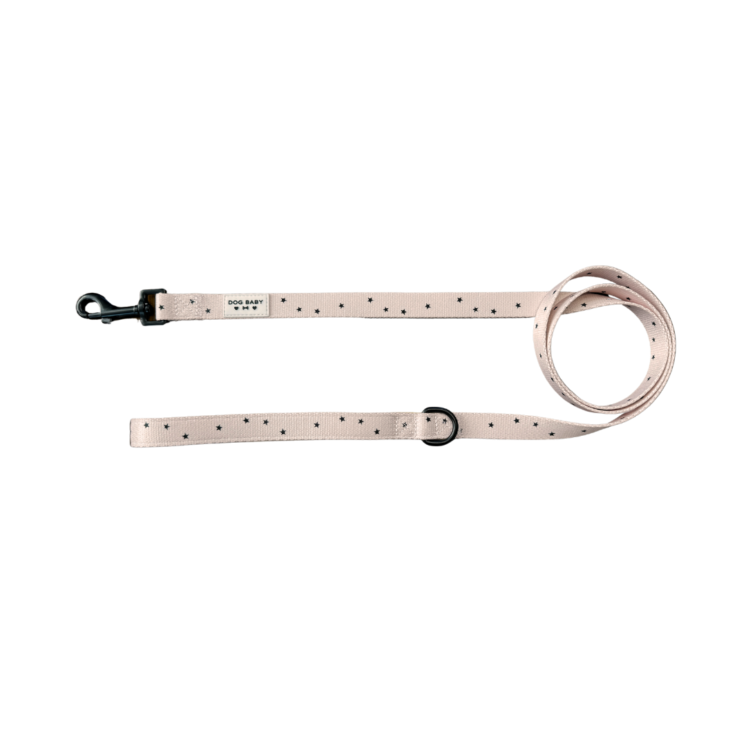 Walkies Golden Hour Leash