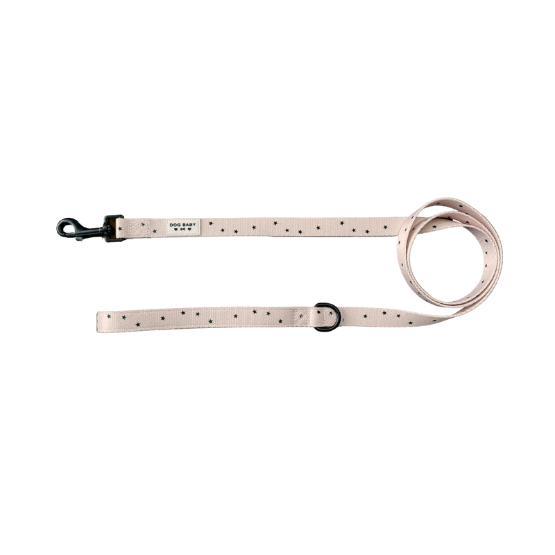 Walkies Golden Hour Leash