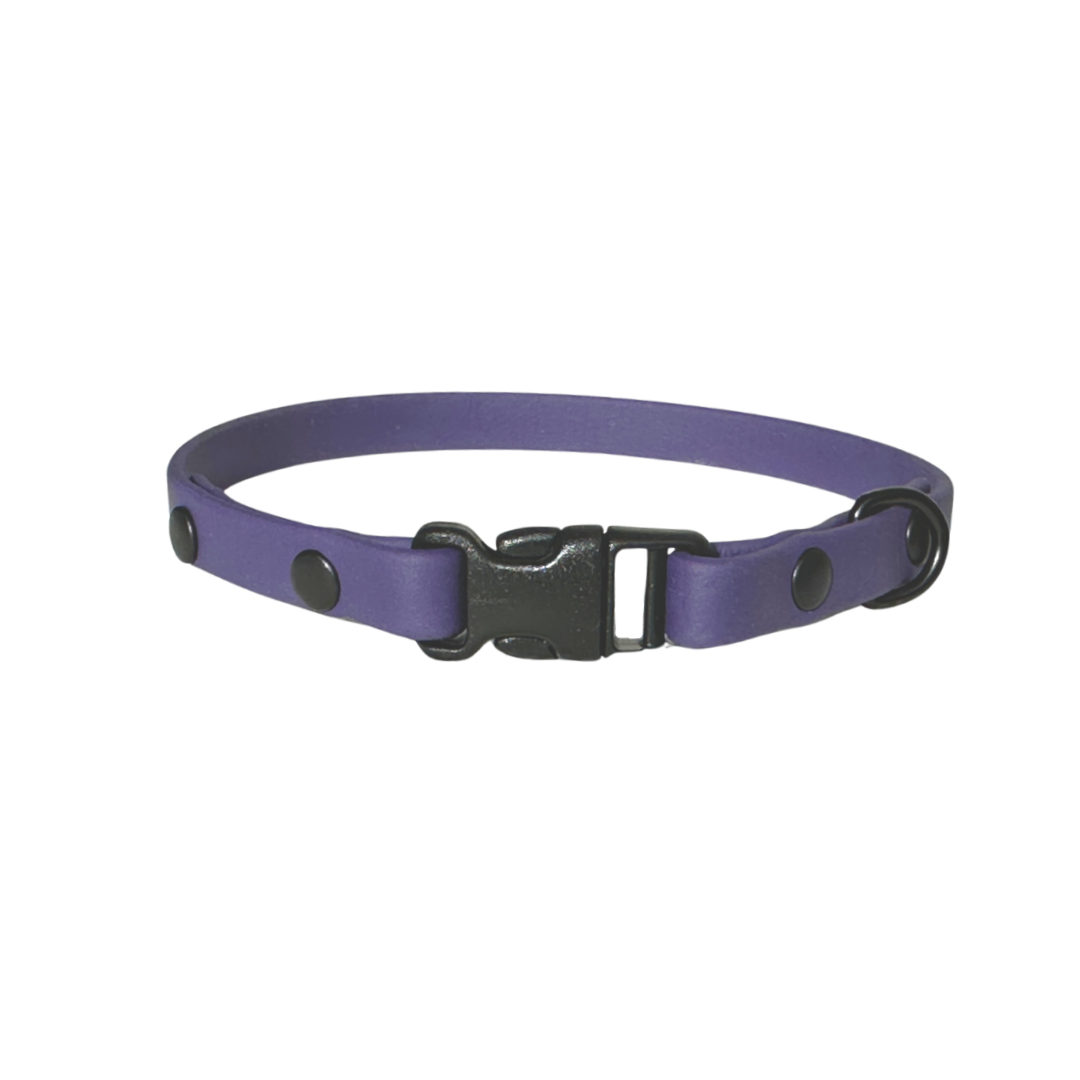 BioThane collar 3/8" neon violet