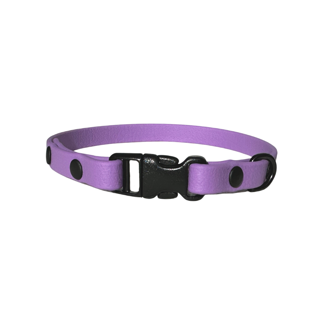 BioThane collar 3/8" purple orchid