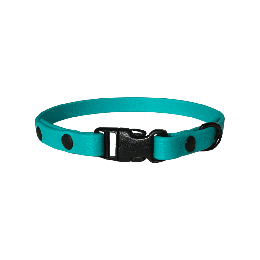 BioThane collar 3/8" teal