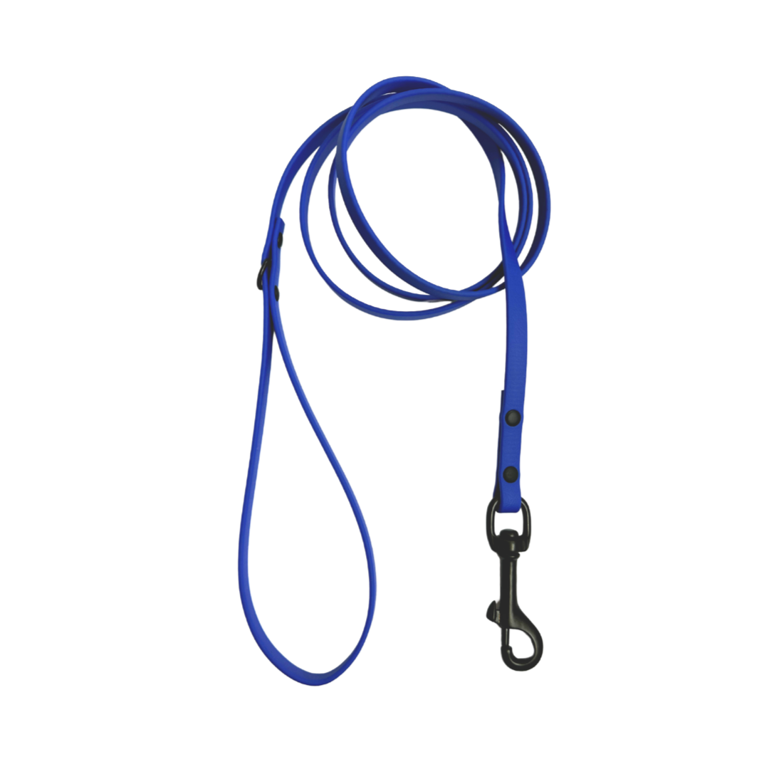 Biothane leash neon blue