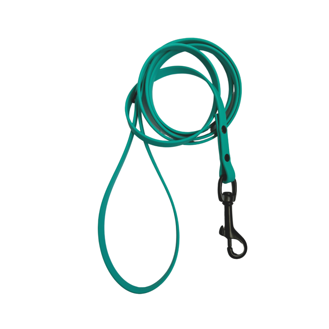 Biothane leash 3/8 teal