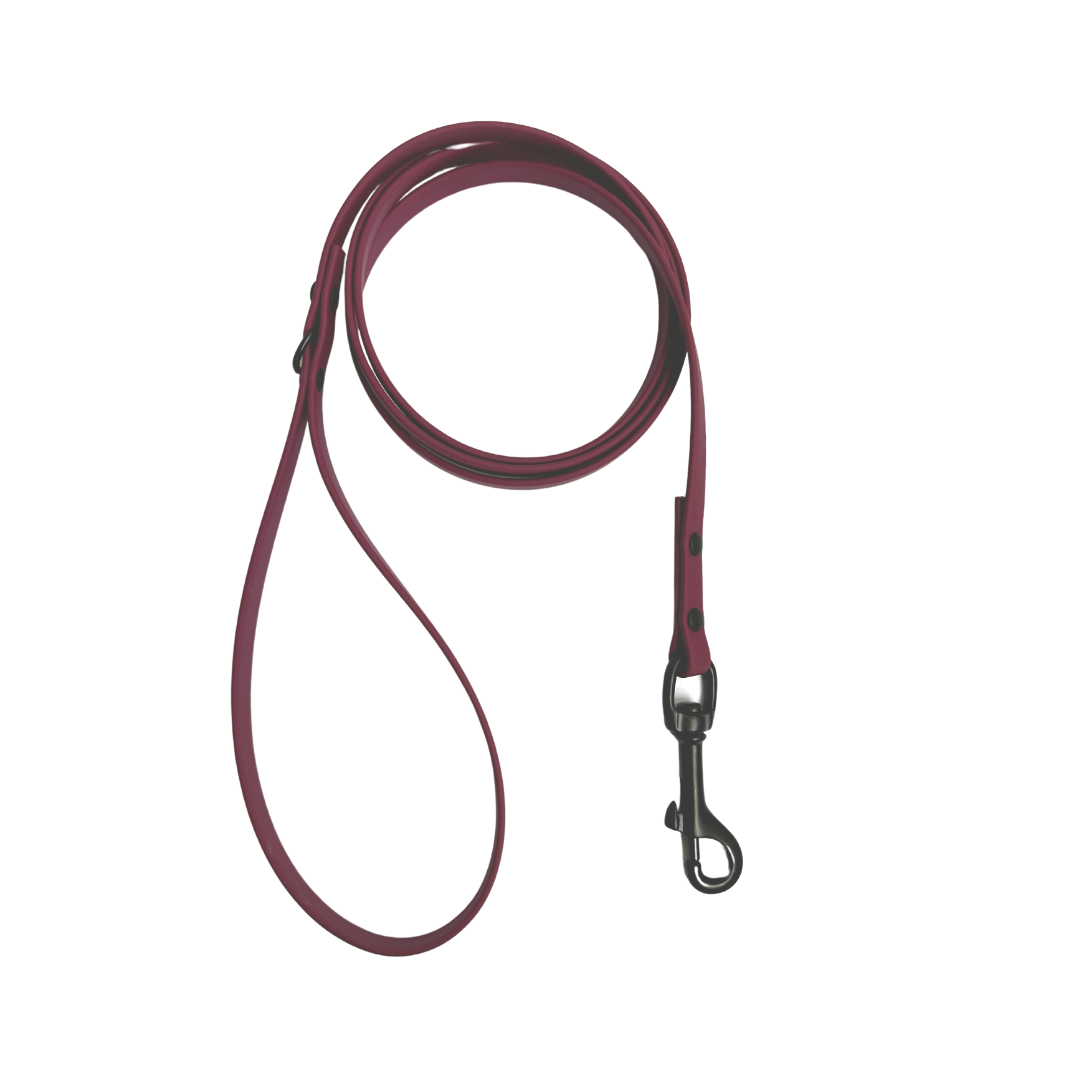 Biothane leash 3/8 wine