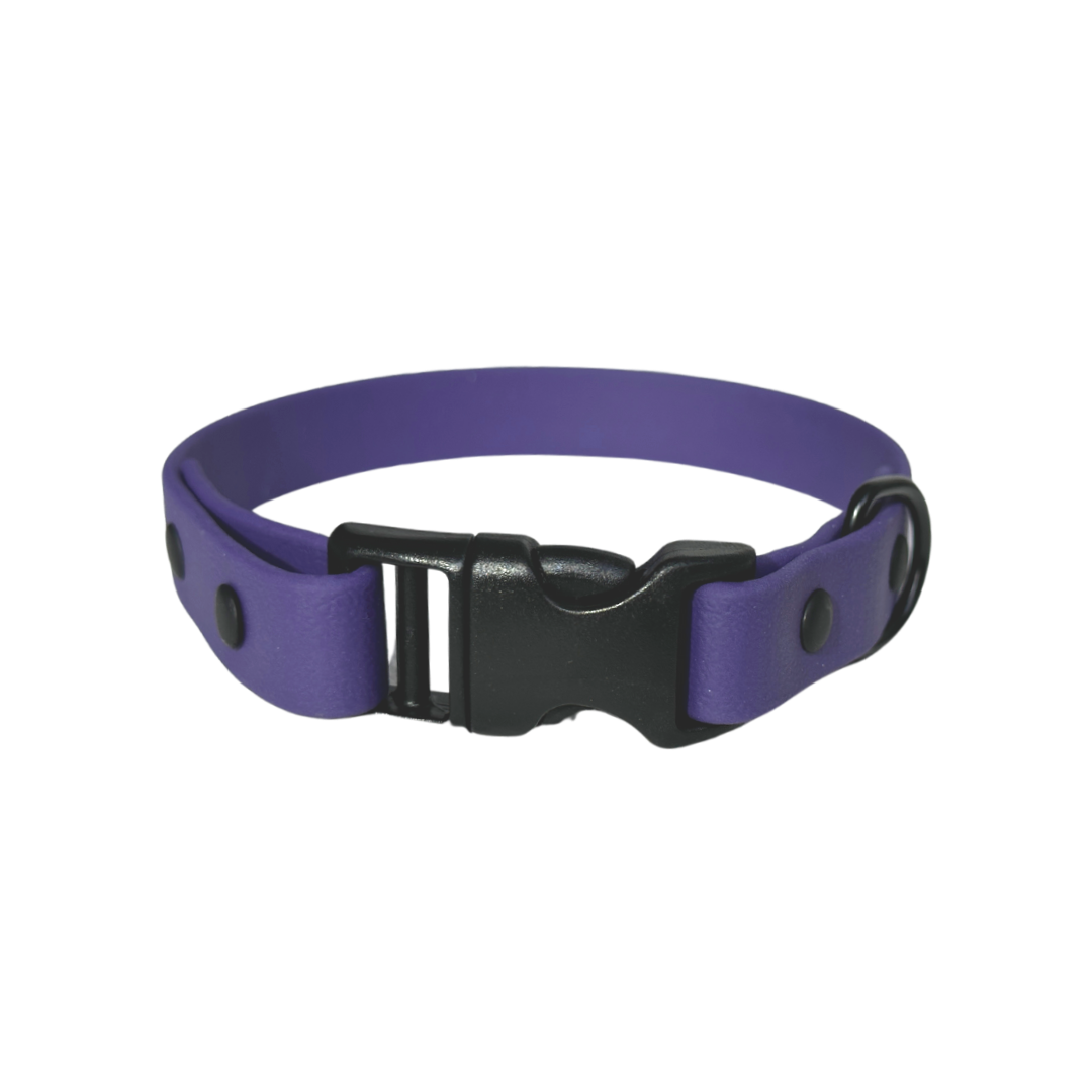 BioThane collar 5/8" neon violet