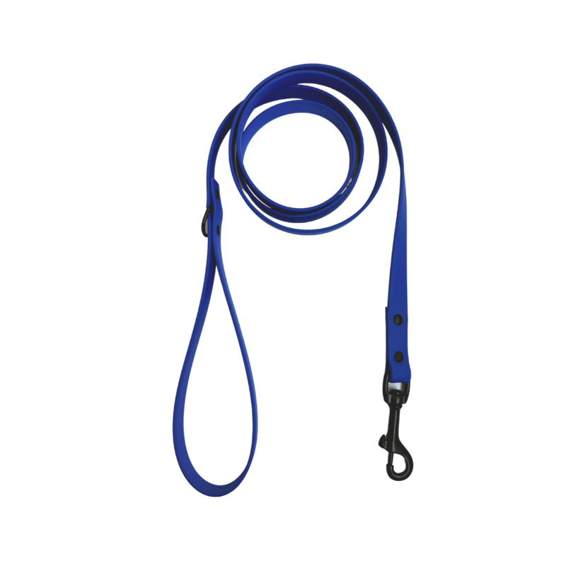 Biothane leash 5/8" neon blue