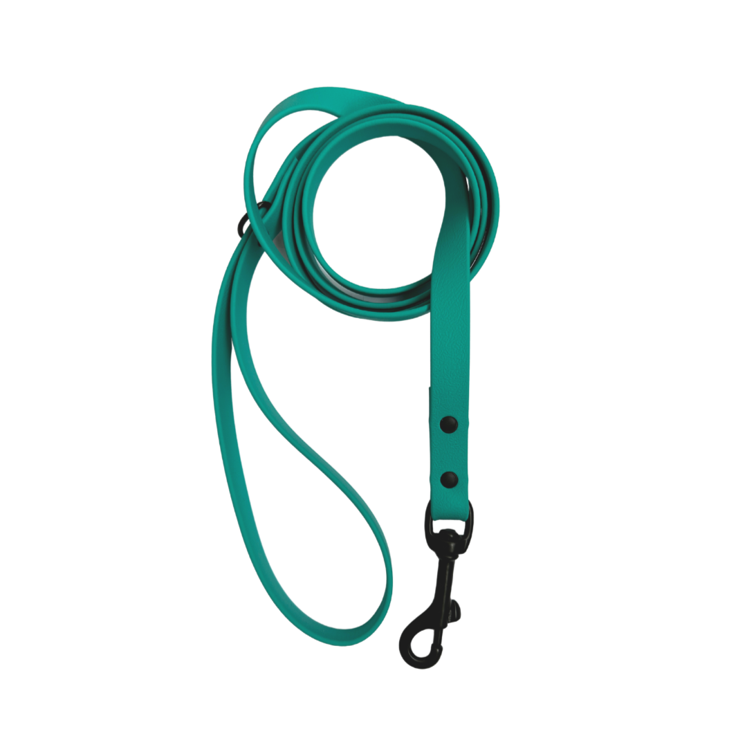 Biothane leash 5/8" teal