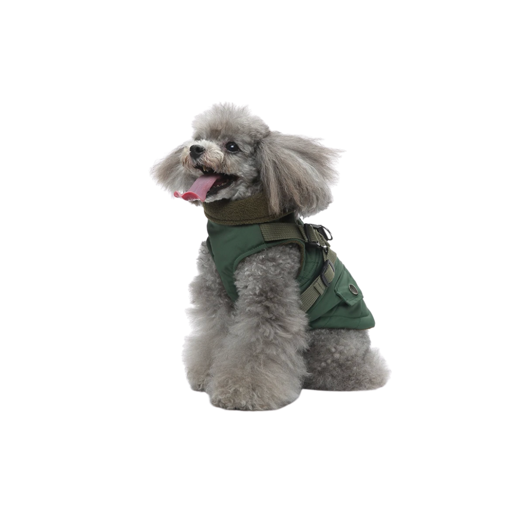 dog field jacket green