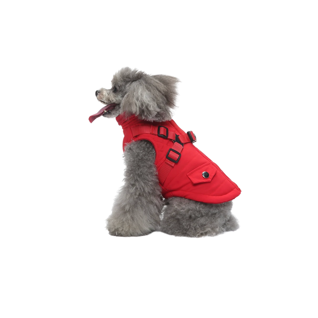 dog field jacket red