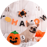 Ghost Pumpkin - DOG BABY™