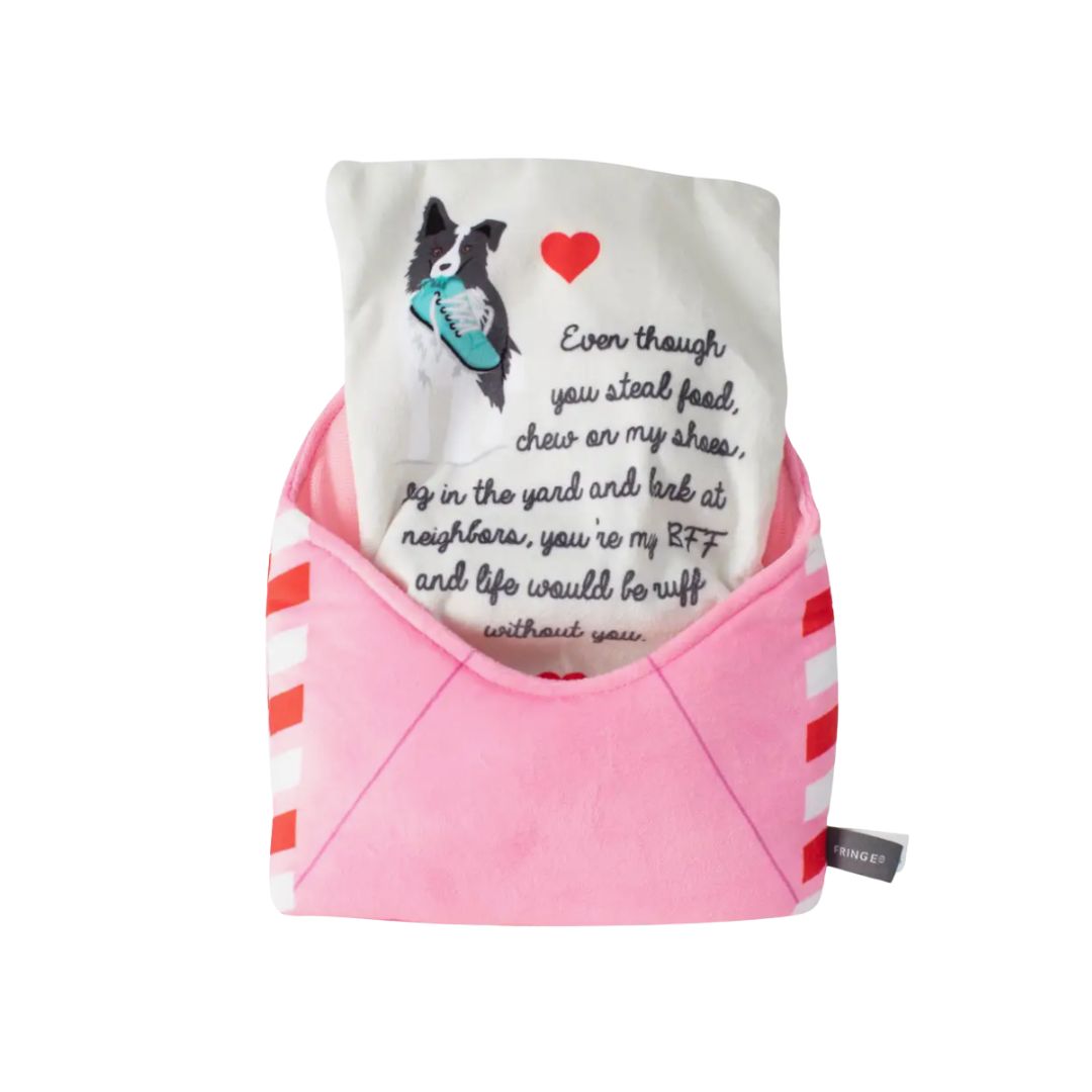 Just Write for Me Crinkle Dog Toy Set