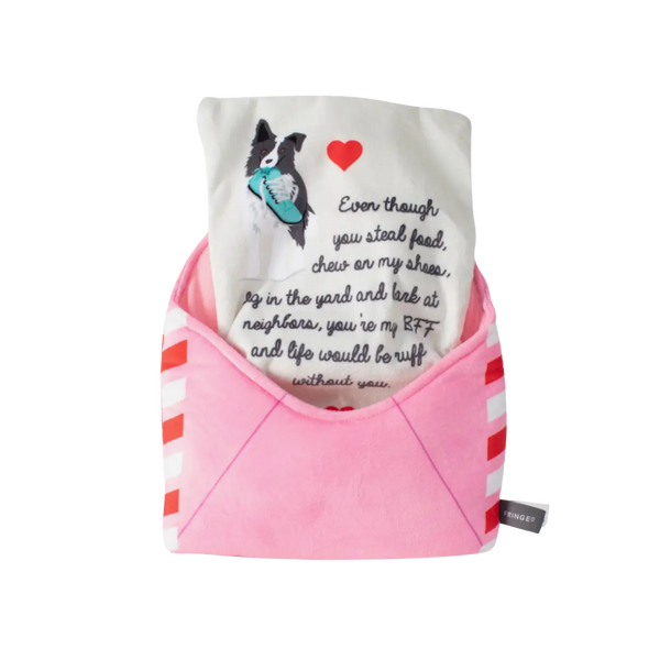 Just Write for Me Crinkle Dog Toy Set