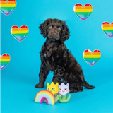 Pet Shop by Fringe Studio Love Blooms Play Set
