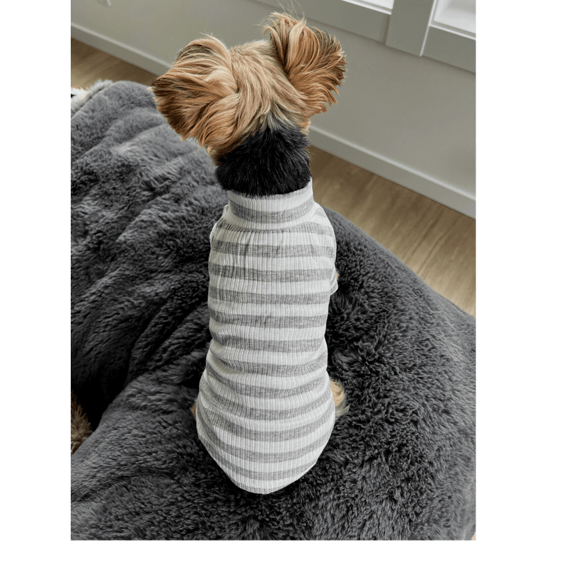 Luna Striped Mock Turtleneck - DOG BABY™
