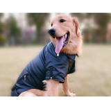 DOG BABY Moto Jacket
