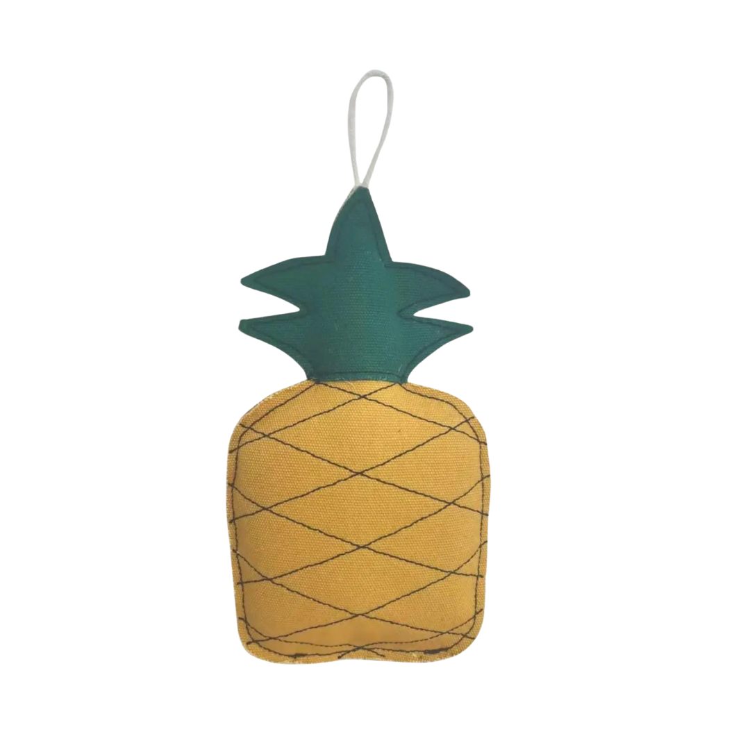 JoJo Modern Pet Pineapple Chew Toy