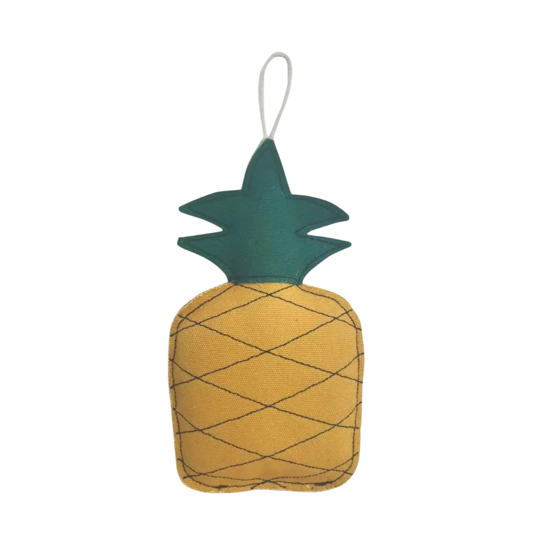 JoJo Modern Pet Pineapple Chew Toy