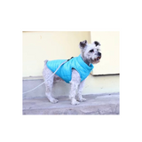 Pupagonia Puffer vest for dogs - cool blue