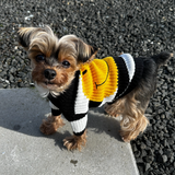 Smiley Sweater for small-medium size dogs