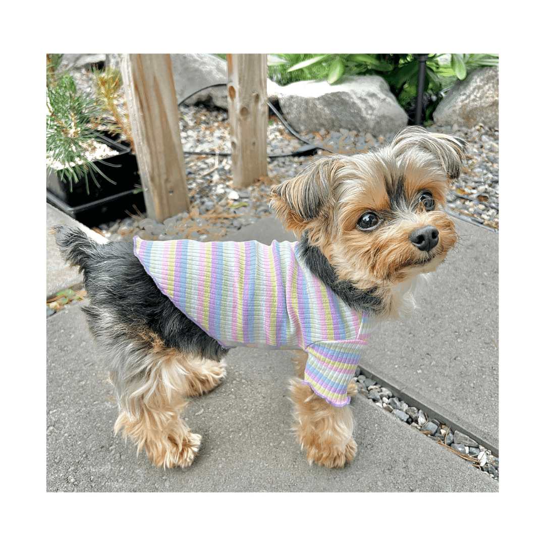 Cotton Candy Mock Turtleneck - DOG BABY™