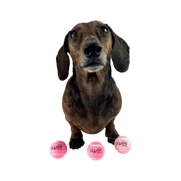 Pink Mini Squeaker Balls 6 pack - DOG BABY™