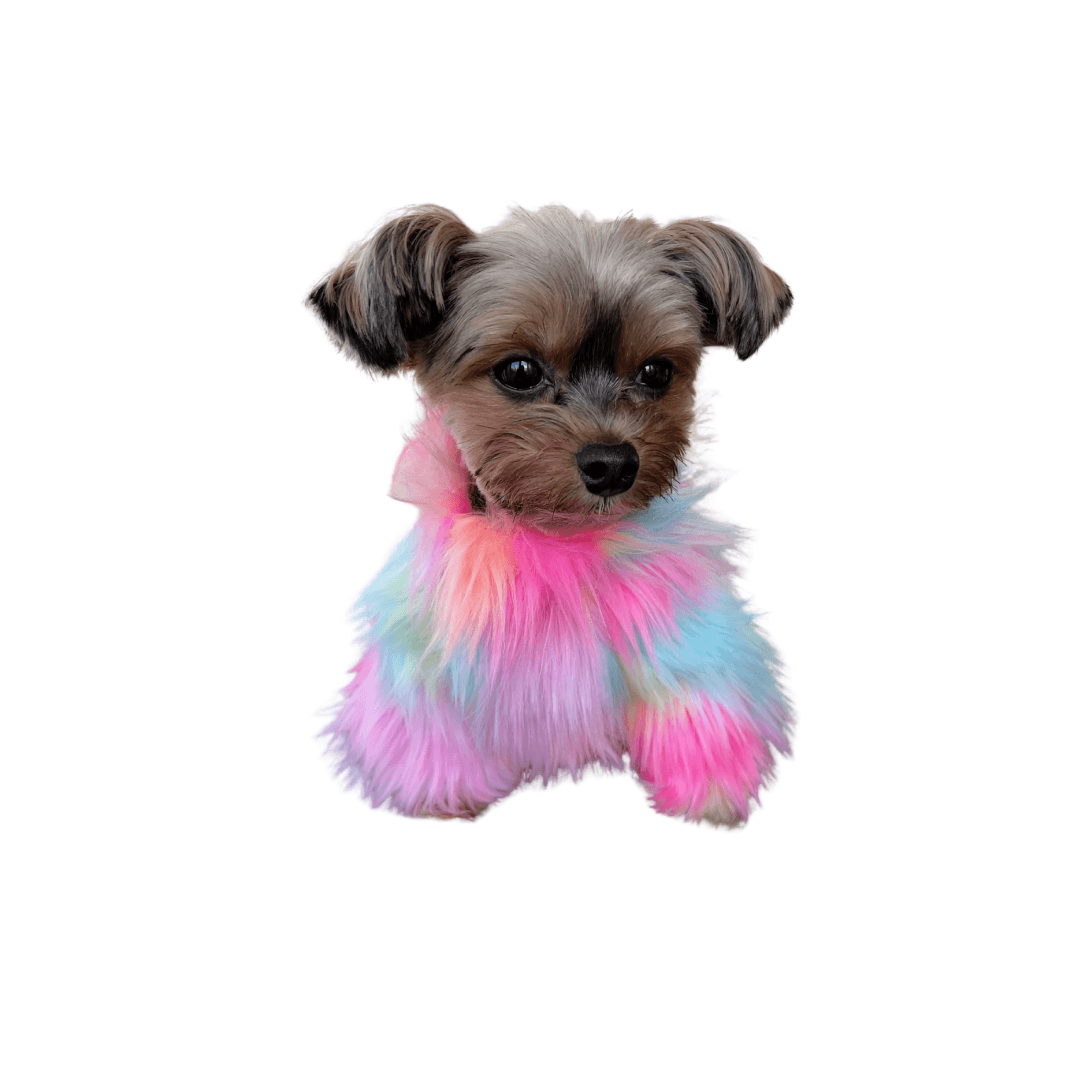 Rainbow Floof Sweater - DOG BABY™