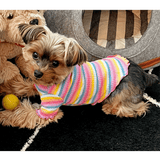 Sherbet Mock Turtleneck - DOG BABY™