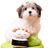 Sushi Play Set - DOG BABY™