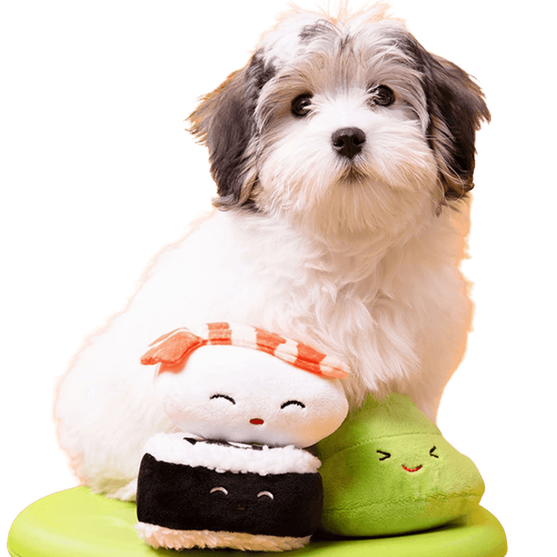 PETSHOP TIME TO CELEBRATE DOG TOY – PetShop.fringestudio
